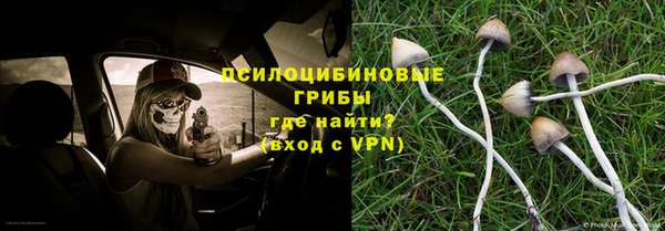 эйфоретик Арсеньев
