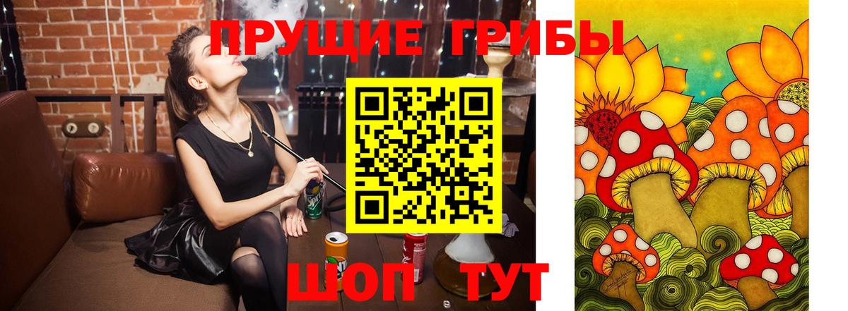 Сухой Лог  купить  цена  Вход с VPN  Галлюциногенные грибы Cubensis 