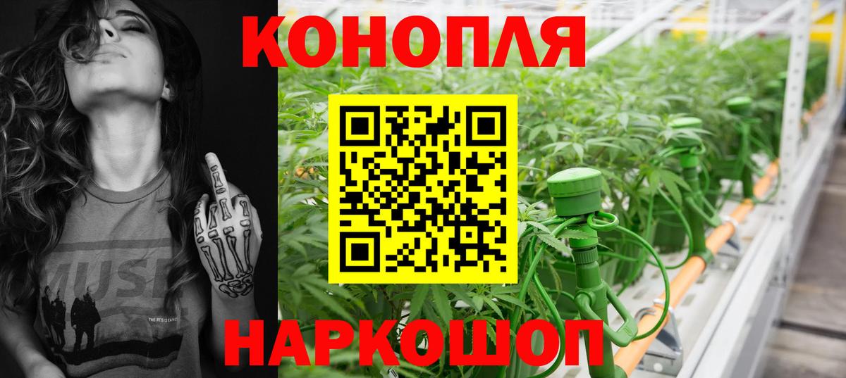 Бошки марихуана план  Вход с VPN  Марихуана Bruce Banner  Сухой Лог 